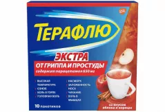 Терафлю  Экстра пор для приготовления раствора для приема вн Яблоко/Корица от гриппа/ простN10